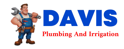 Trusted plumber in CAMDENTON